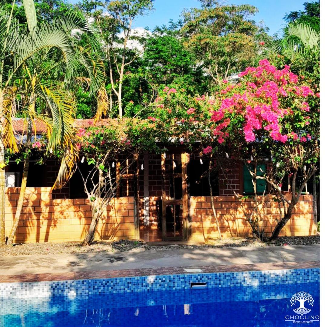 Choclino Ecolodge -Bungalows Tarapoto Ngoại thất bức ảnh