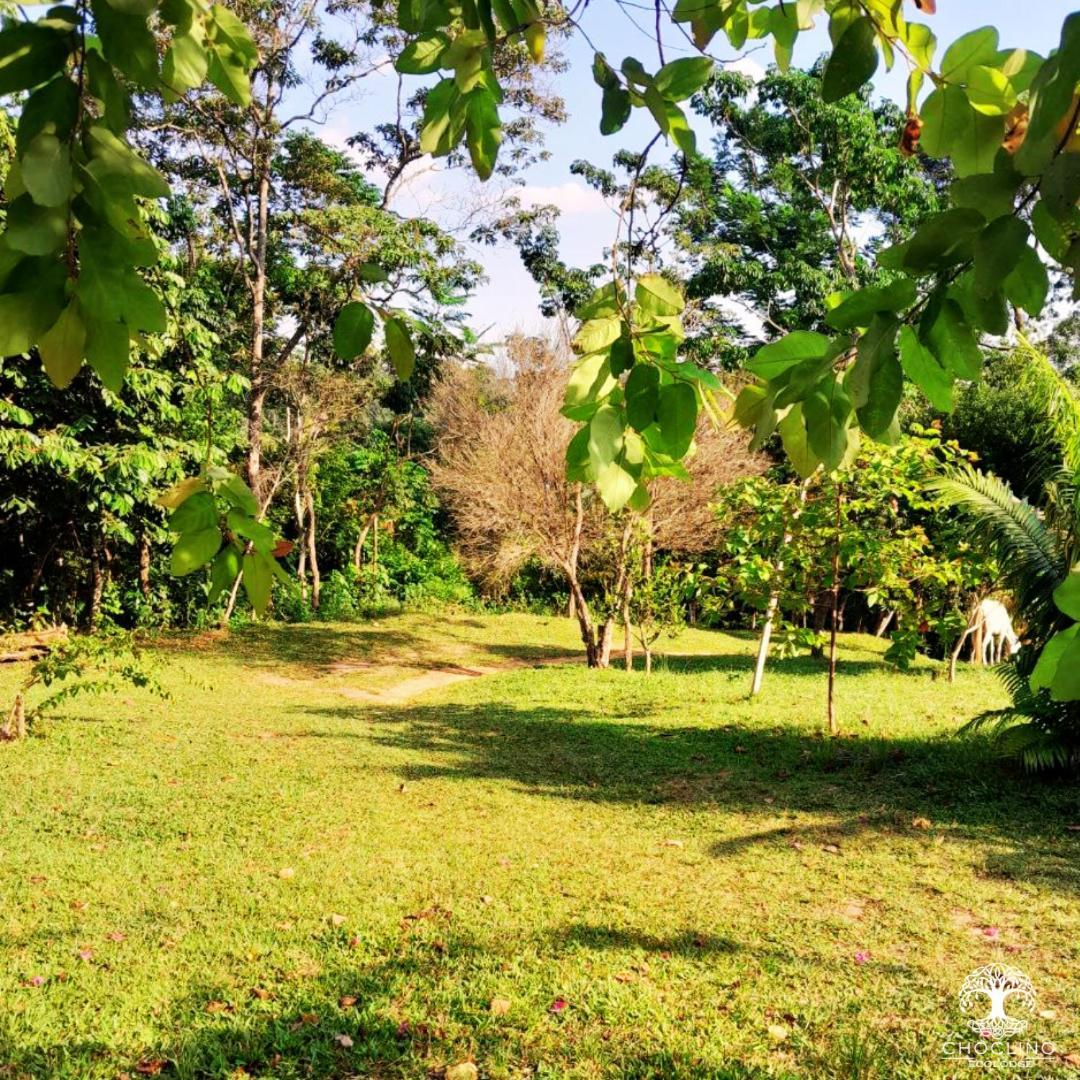 Choclino Ecolodge -Bungalows Tarapoto Ngoại thất bức ảnh