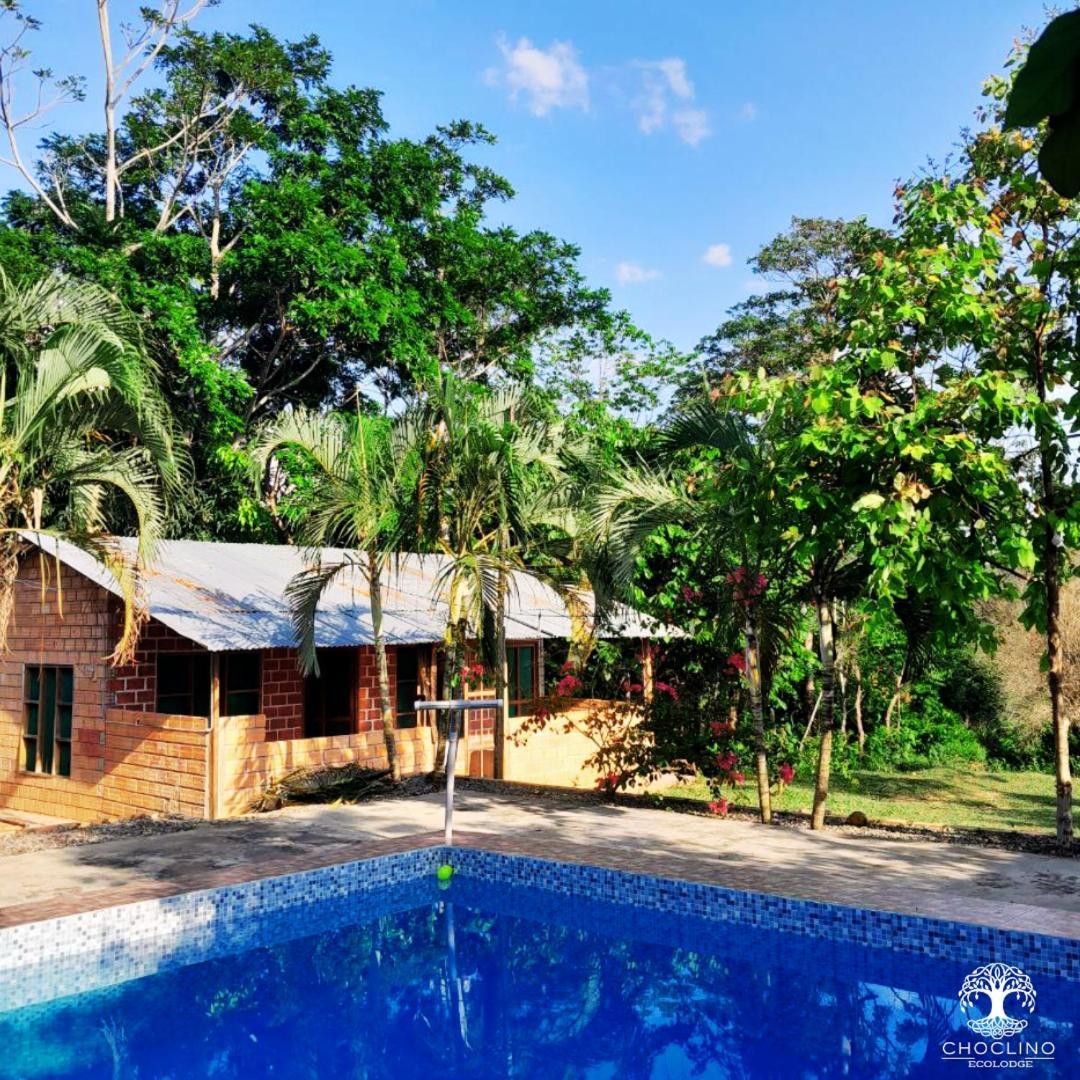 Choclino Ecolodge -Bungalows Tarapoto Ngoại thất bức ảnh