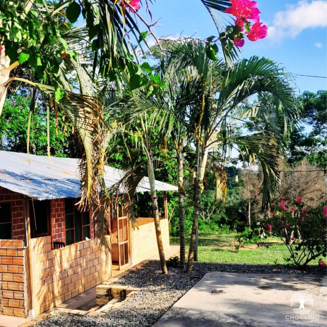 Choclino Ecolodge -Bungalows Tarapoto Ngoại thất bức ảnh