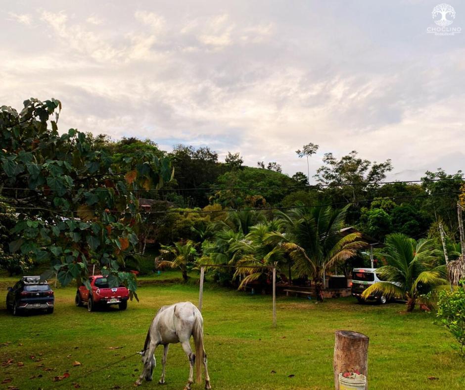 Choclino Ecolodge -Bungalows Tarapoto Ngoại thất bức ảnh