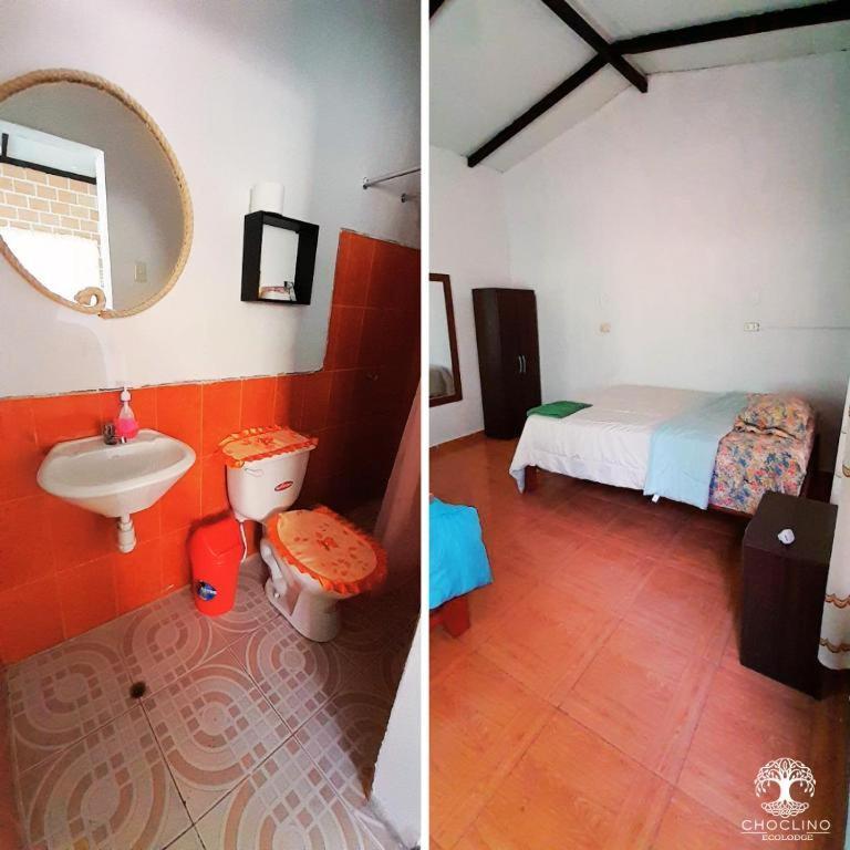 Choclino Ecolodge -Bungalows Tarapoto Ngoại thất bức ảnh