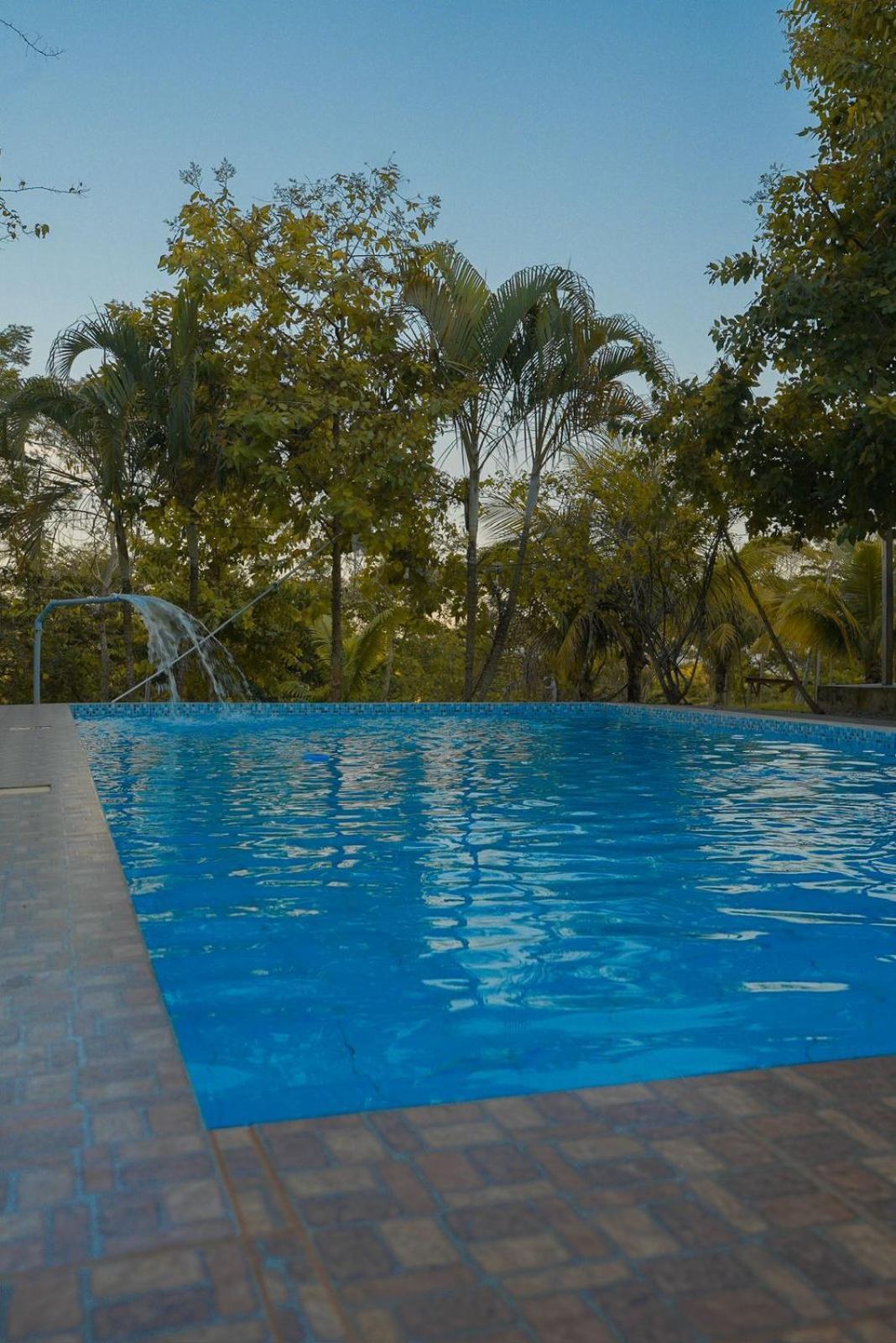 Choclino Ecolodge -Bungalows Tarapoto Ngoại thất bức ảnh